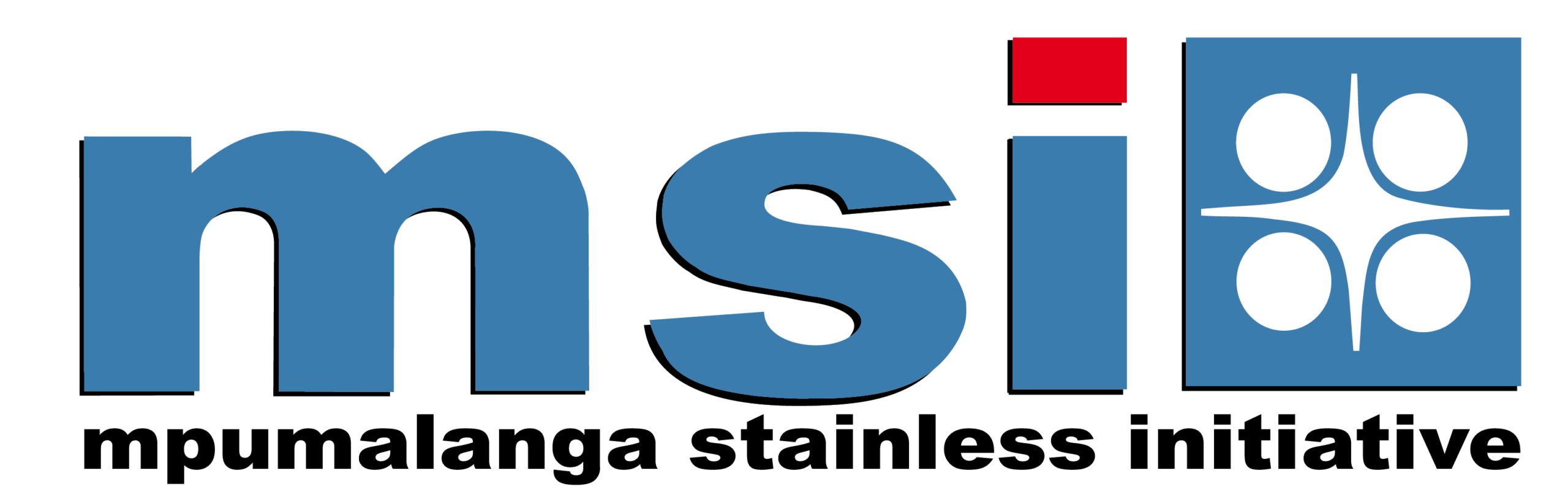 Mpumalanga Stainless Initiative logo