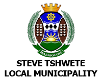 MSI partner logo