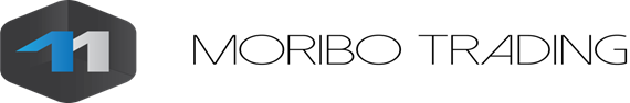 Logo supplied in MSI website scope